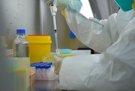 取核酸檢測結果可以用發票代取嗎?核酸檢測取樣要幾分鐘