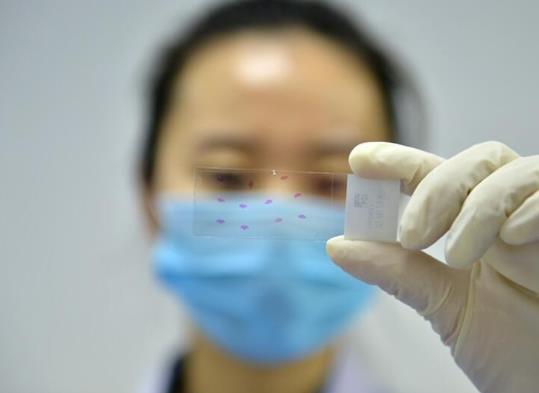 大人小孩都要做核酸檢測嗎?家里一個(gè)人做了核酸檢測其他人還要做嗎