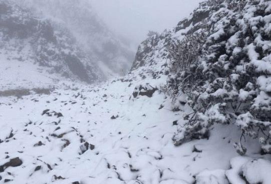 下雪車牌被擋住會不會被違章拍照?下雪天車上的雪要掃掉嗎