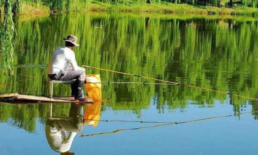 國慶釣魚釣深水還是淺水 國慶節釣魚用什么餌料