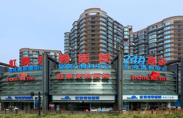 杭州負(fù)責(zé)的寵物醫(yī)院:虹泰寵物醫(yī)院醫(yī)師團(tuán)隊(duì)人物訪談專(zhuān)訪篇