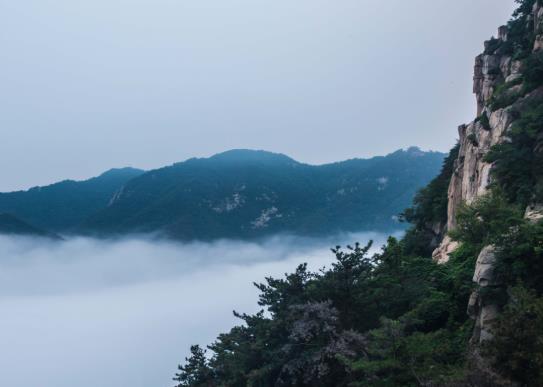 行程卡是根據什么定位的?行程卡能看到什么時間到達某地的嗎