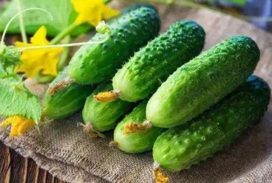 黃瓜葉子發黃怎么解決?黃瓜適用哪些肥料