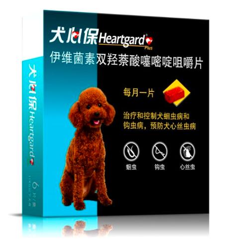 狗狗體內驅蟲多久一次 鏟屎官必看!