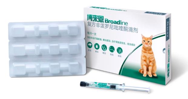 冬天也要給貓咪驅蟲!定期驅蟲不分季節!
