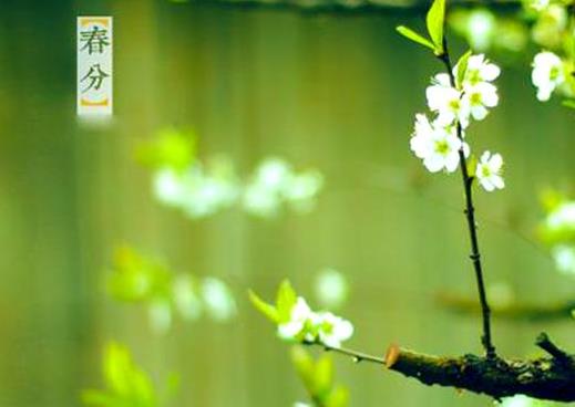 2022年春分那天結婚好不好?春分前后搬家要注意什么