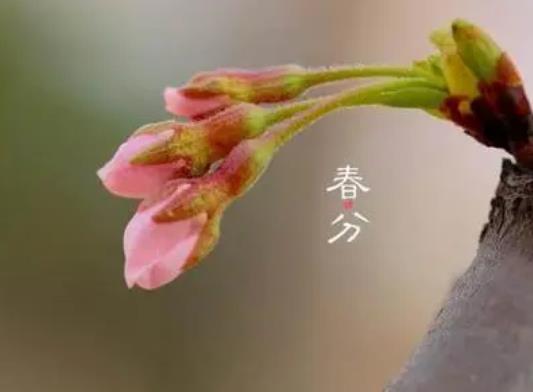2022年3月20日春分這天能結(jié)婚嗎?2022年春分前后能搬家嗎