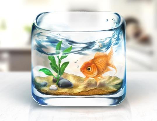 魚缸養(yǎng)螃蟹水位多深最好?魚缸放陽臺(tái)上好不好