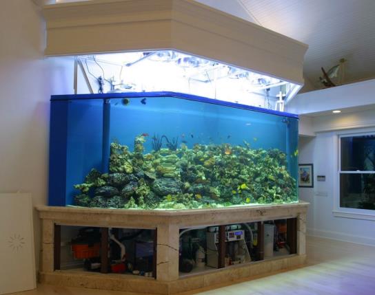 魚缸養(yǎng)螃蟹水位多深最好?魚缸放陽臺(tái)上好不好