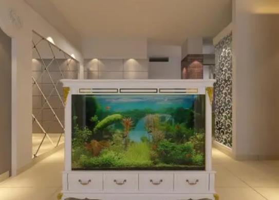 魚缸養(yǎng)螃蟹水位多深最好?魚缸放陽臺(tái)上好不好
