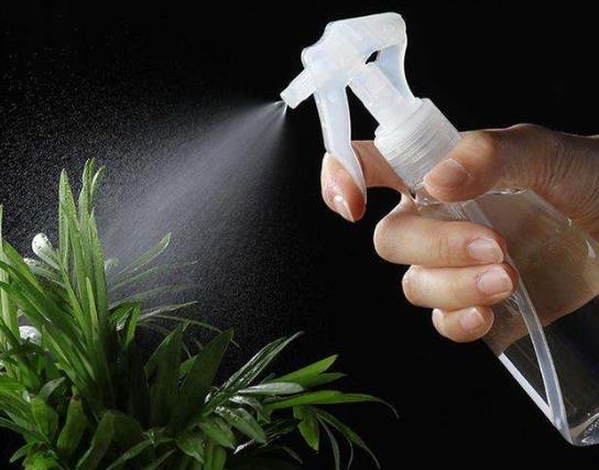 黃豆水澆花怎么才會不臭?燒開放涼的水能澆花嗎