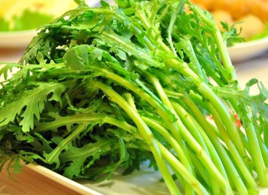 茼蒿種子怎么播種發芽快?茼蒿啥時候種成活率高