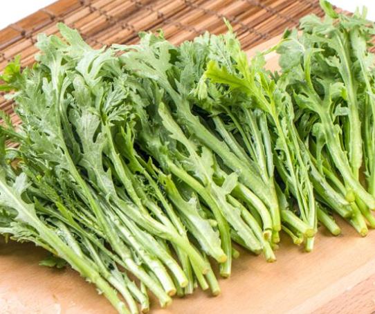 茼蒿種子怎么播種發芽快?茼蒿啥時候種成活率高
