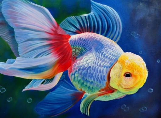 養(yǎng)金魚的自來水要放幾天?金魚沉底是在睡覺嗎