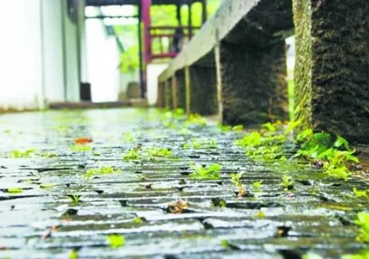 2022蘇州梅雨季節什么時候開始?2022年蘇州有梅雨季節嗎
