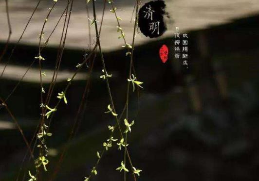 清明上墳拿饅頭的個數有講究嗎?上墳用的饅頭必須是圓形的嗎