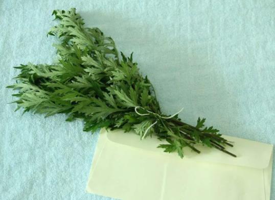 端午節掛艾草有什么講究?端午幾點鐘掛艾草好