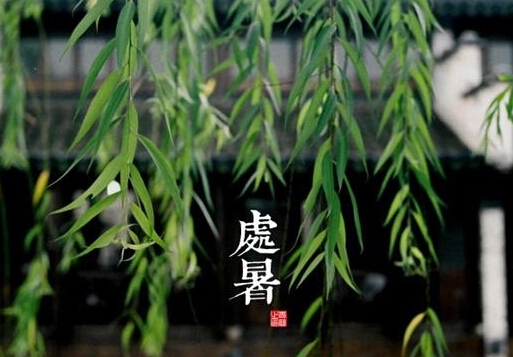 處暑是什么意思?處暑養生注意事項
