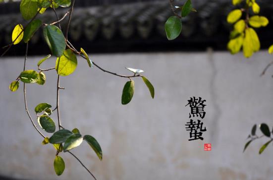@Uʲôr򣿶ʮĹ֮@UɁcx