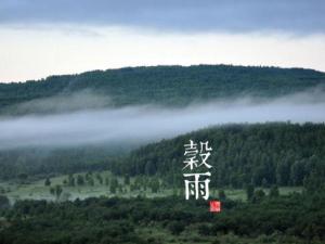 谷雨是什么時(shí)候？二十四節(jié)氣之谷雨的由來與含義