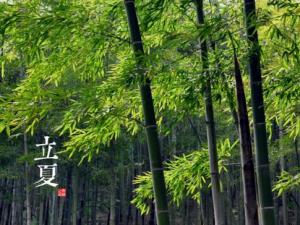 立夏是什么時候？二十四節氣之立夏的由來與含義