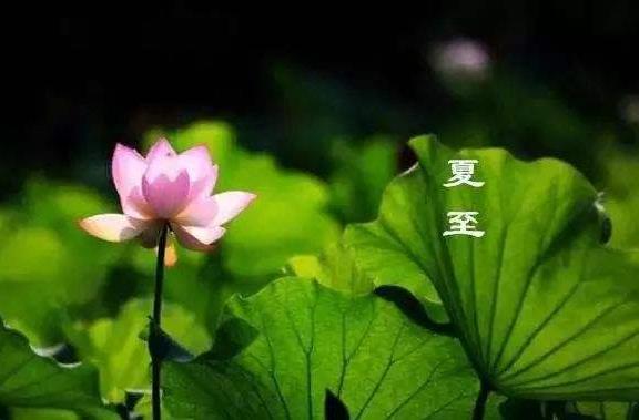 夏至節(jié)氣過后白天越來越長還是越來越短 夏至過后是什么節(jié)氣
