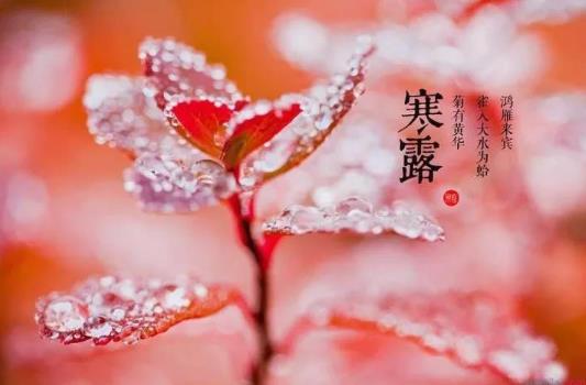 2021寒露時節的天氣溫度是多少?2021年寒露是幾月幾日幾點幾分