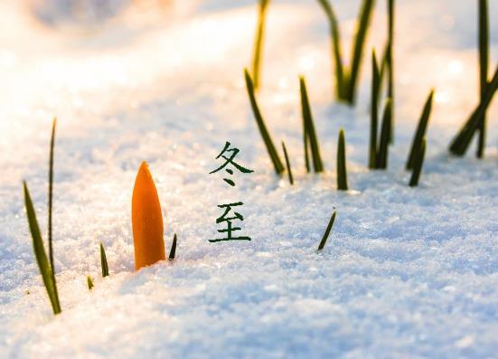 冬至吃餃子是為了紀(jì)念哪位醫(yī)學(xué)家?冬至可以只吃一個(gè)餃子