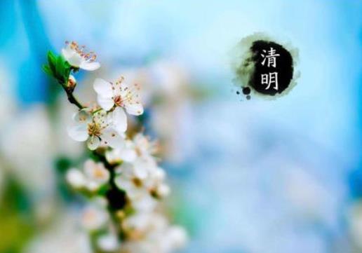 清明節(jié)掃墓要用鮮花好還是塑料花好?2021年清明節(jié)幾號(hào)遷墳好