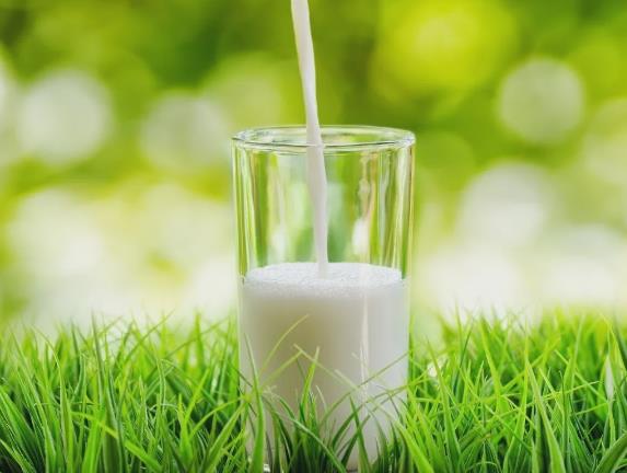 夏季7大飲食禁忌要注意:夏季忌多吃寒涼食物、熱性食物及調料
