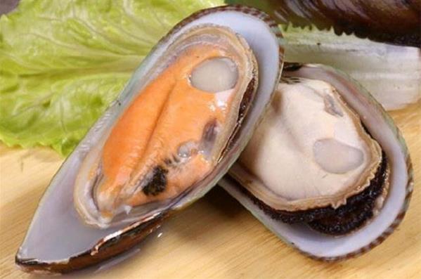 青口貝是海鮮嗎?青口貝吃了會上火過敏嗎