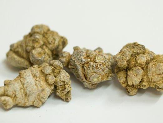 吃三七的好處是什么?吃三七需要注意什么