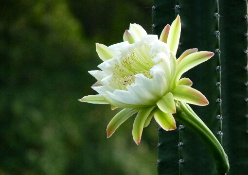 ǻBֳ-ǻڼҾе