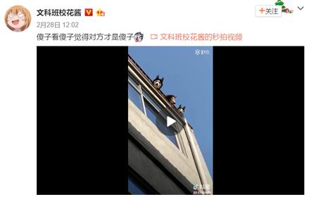 確認過眼神是什么意思?確認過眼神是什么梗?林俊杰醉赤壁中的歌詞