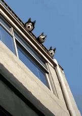確認過眼神是什么意思?確認過眼神是什么梗?林俊杰醉赤壁中的歌詞