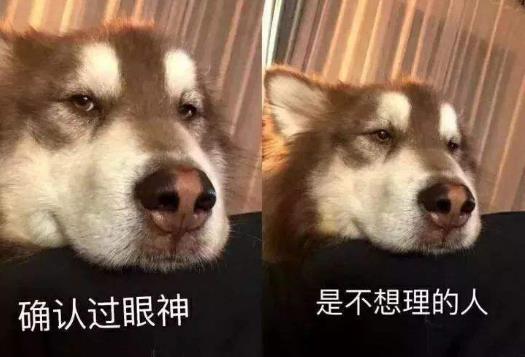確認過眼神是什么意思?確認過眼神是什么梗?林俊杰醉赤壁中的歌詞