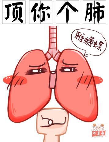 我頂你個肺是什么意思?廣東話粵語里面我頂你個肺是什么意思