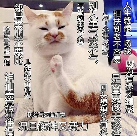 佛系是什么意思什么梗?佛系及衍生詞語刷屏 佛系和佛教有關系嗎