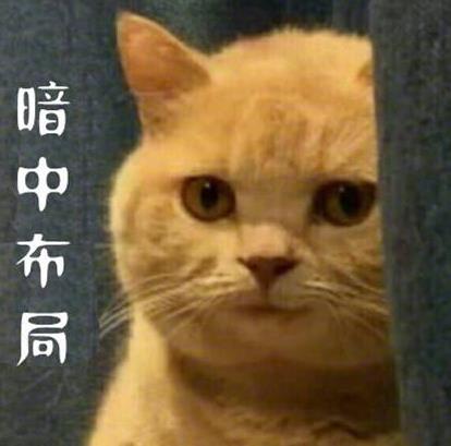 我有一個(gè)大膽的想法是什么意思什么梗?我有一個(gè)無(wú)恥又大膽的想法
