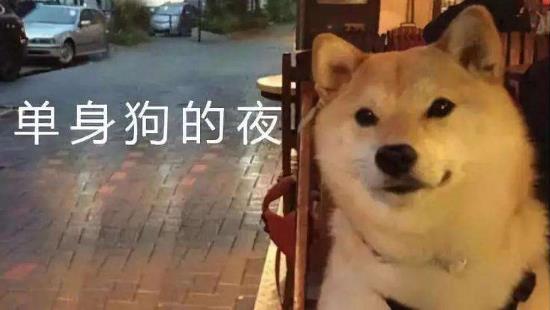 520是什么意思?5201314數(shù)字諧音意思是我愛你一生一世