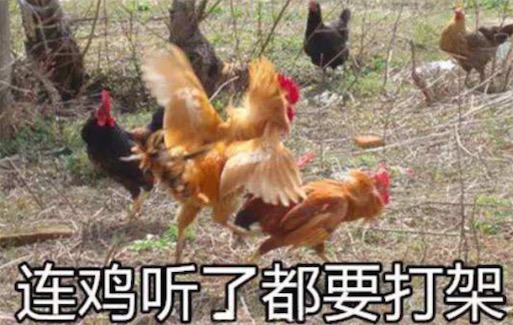 xxj是什么意思什么梗 xxj是小學雞的拼音首字母縮寫