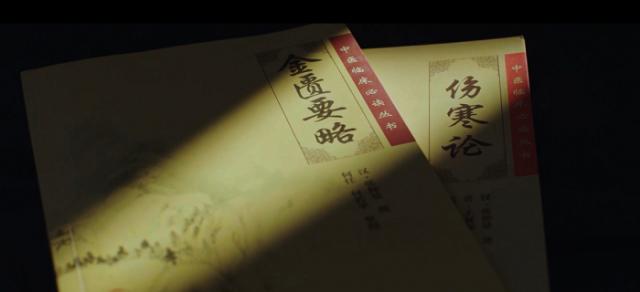出彩河南人杰地靈,仲景故里《醫(yī)圣》熱播 444.png