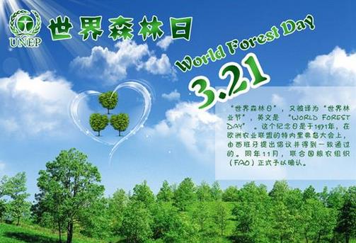 3月21日是什么節(jié)日？世界森林日的來歷和意義