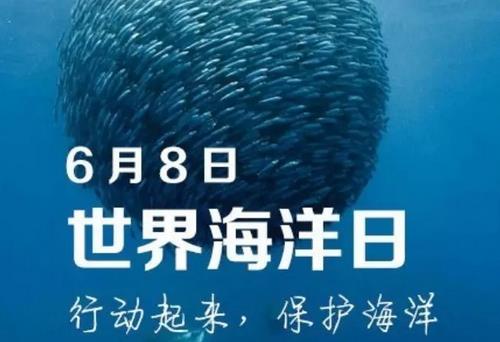 6月8日是什么節(jié)日？世界海洋日是幾月幾日