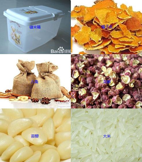 如何防止大米生蟲子？防止大米生蟲子的做法