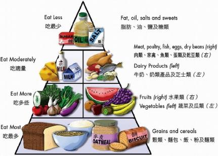 中國人碗里缺什么營養(yǎng)素？補(bǔ)充營養(yǎng)素的誤區(qū)