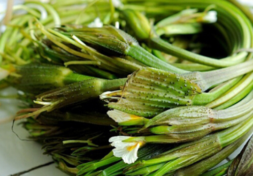 常吃海菜碘會過量嗎？海菜的功效