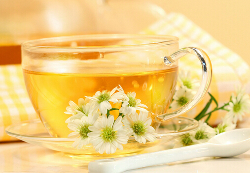 兒童不要喝菊花茶-什么人不可以喝菊花茶？
