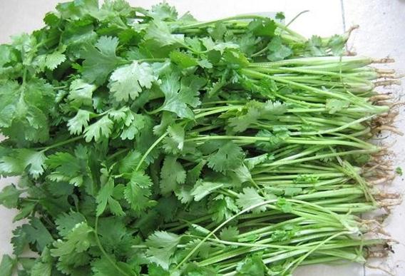 香菜有什么樣的營養(yǎng)價值？香菜的營養(yǎng)價值-香菜的功效與作用