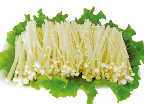 金針菇的營(yíng)養(yǎng)價(jià)值-金針菇的藥用價(jià)值